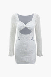 Flocked Mesh Cut Out Long Sleeve Mini Dress