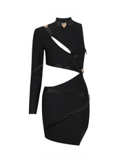 Evana Panther Mini Dress