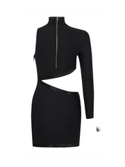 Evana Panther Mini Dress