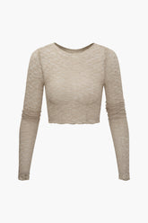 Lace Sheer Round Neck Long Sleeve Top