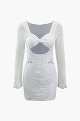 Flocked Mesh Cut Out Long Sleeve Mini Dress