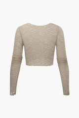 Lace Sheer Round Neck Long Sleeve Top