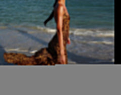 Mesh See Through Leopard Print Maxi Dress