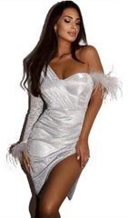 LONG SLEEVE SEQUIN FEATHER MINI DRESS IN SILVER