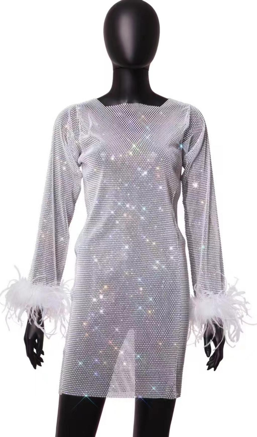 FEATHER EMBELLISHED MESH MINI DRESS