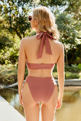 Solid Color Feminine Cutout Bikini