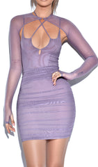 FLORA PURPLE MESH LONG SLEEVE DRESS