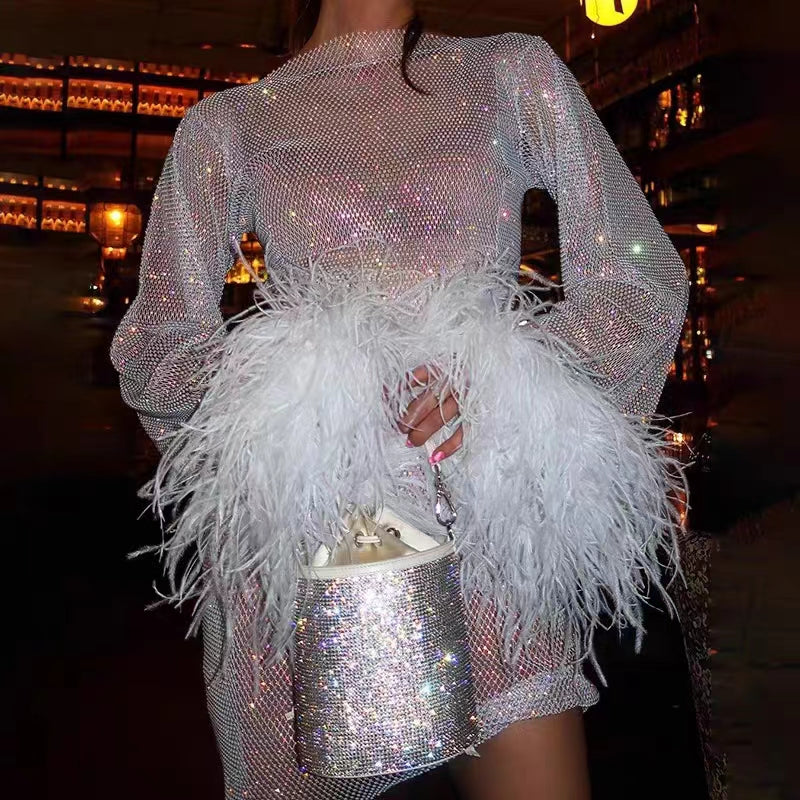FEATHER EMBELLISHED MESH MINI DRESS