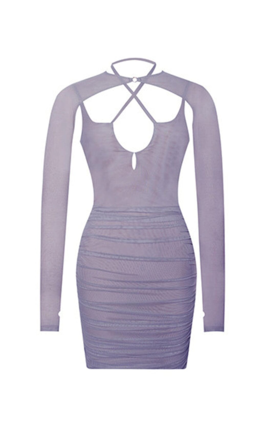 FLORA PURPLE MESH LONG SLEEVE DRESS